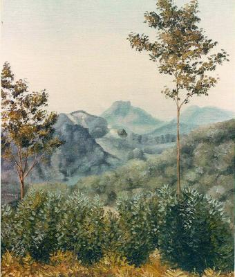 sui-colli-euganei