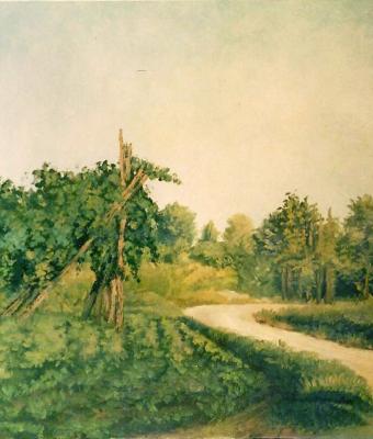 vigneto