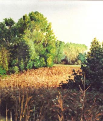 autunno-nei-campi-4