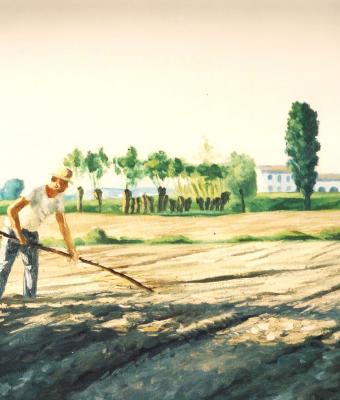 il-contadino