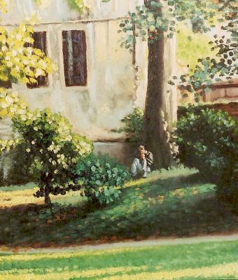 sole-tra-gli-alberi-2