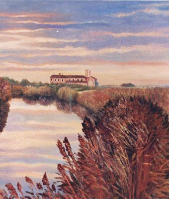 tramonto-a-millecampi