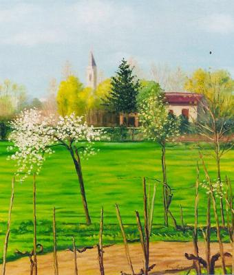 alberi-in-fiore