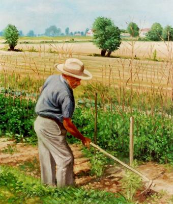 curare-il-proprio-orticello