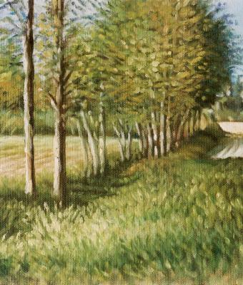 il-sapore-dell-erba