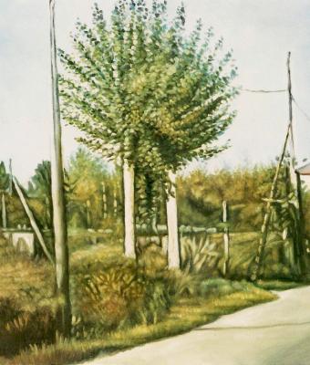 sole-di-primavera