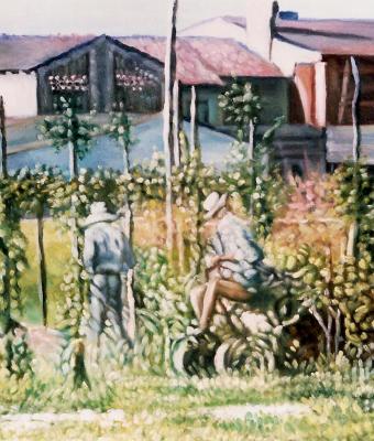 l-acqua-alle-vigne