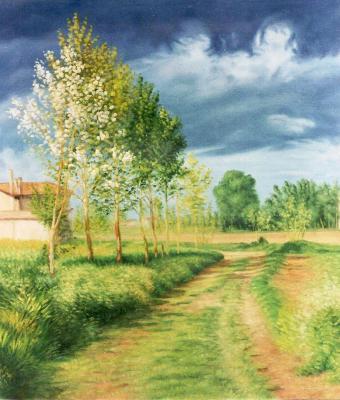 ritorna-il-sole