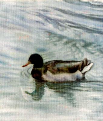 nel-fiume
