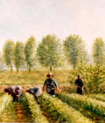 il-lavoro-nei-campi