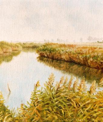 lungo-il-fiume-tra-le-canne