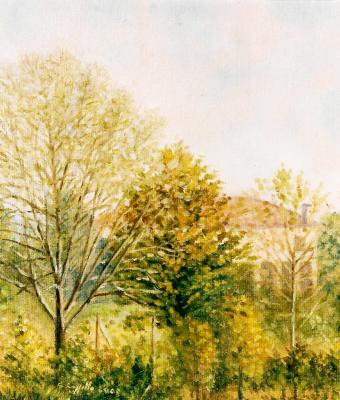 autunno-tra-gli-alberi