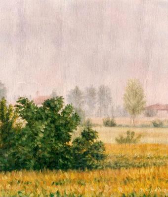 foschia-tra-i-campi