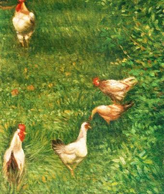 galli-e-galline