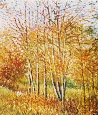 vibrazioni-d-autunno