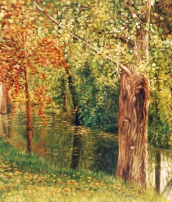 foglie-sull-acqua