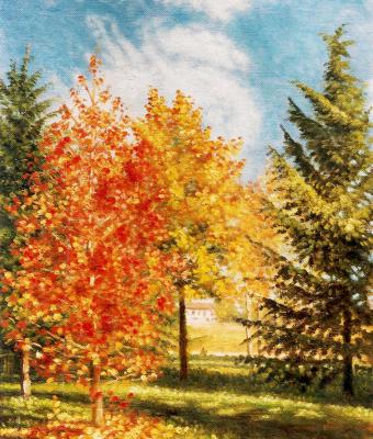 l-albero-rosso