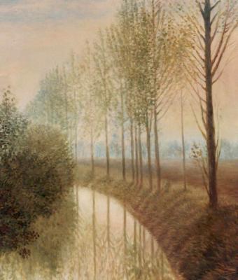 foschia-tra-gli-alberi