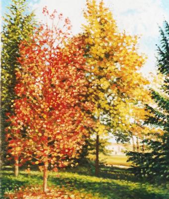 i-colori-dell-autunno