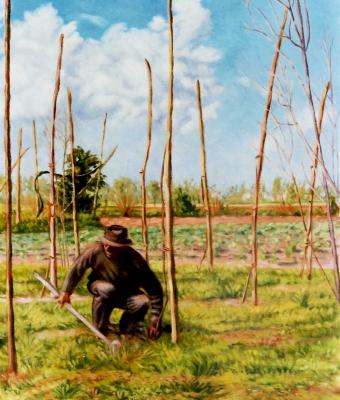 il-contadino-2