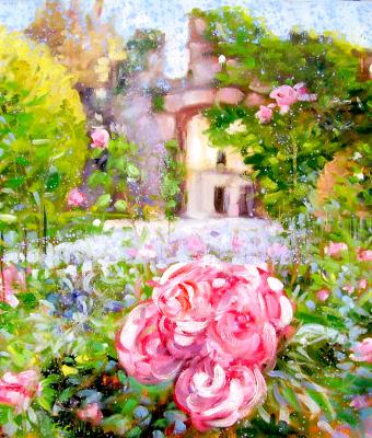 il-punto-di-vista-della-rosa