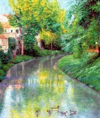 la-luce-tra-le-foglie