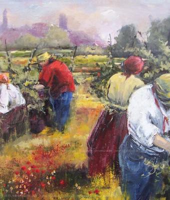 vendemmia