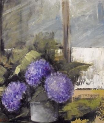 ortensie