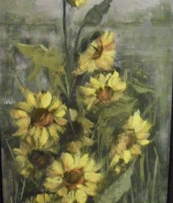 girasoli