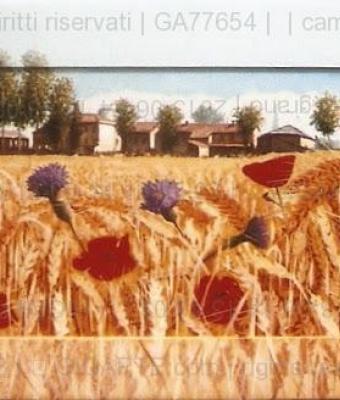 campo-di-grano