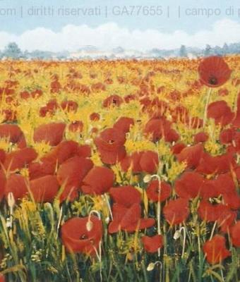 campo-di-papaveri