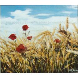 campo-di-grano