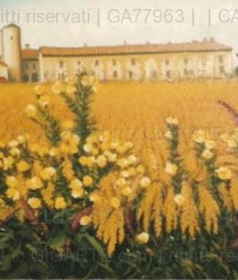 cascina