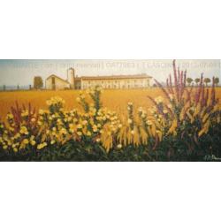 cascina