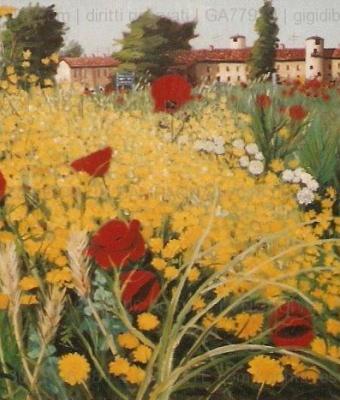 fiori-in-campagna