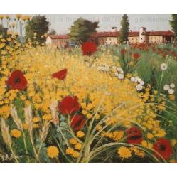 fiori-in-campagna