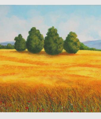paesaggio-silano