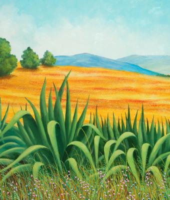 paesaggio-con-agave