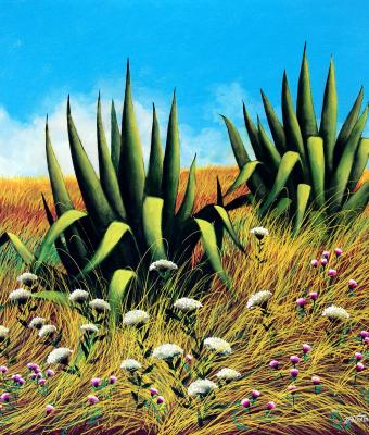 campagna
