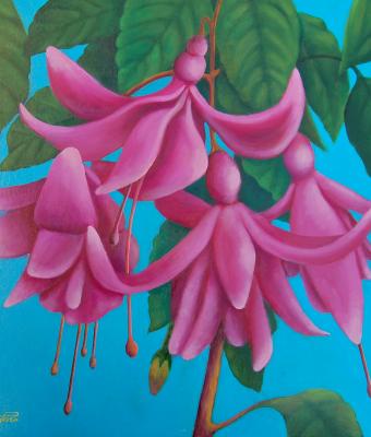 fiori