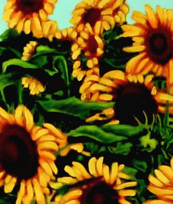 girasoli