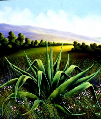 agave