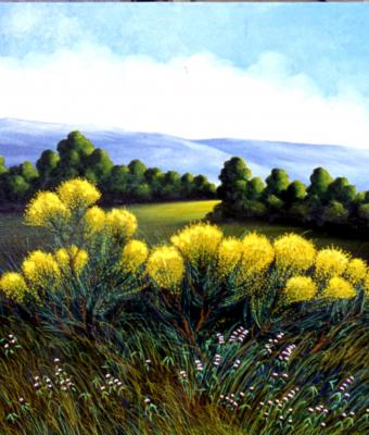 ginestre