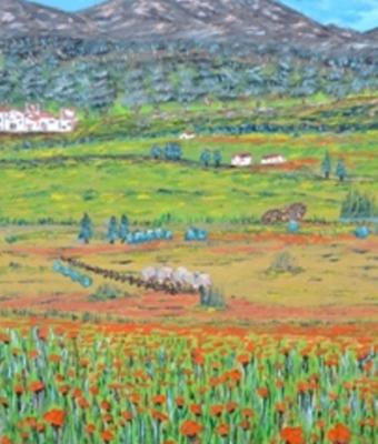 campo-di-papaveri