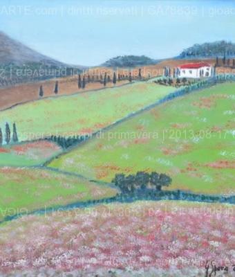 campi-di-primavera