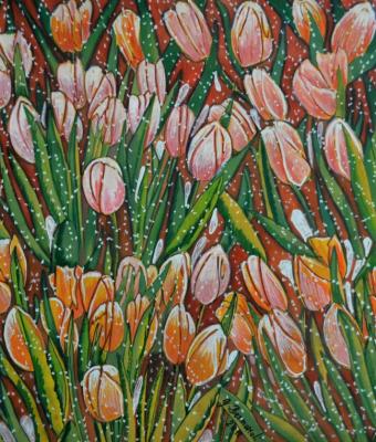 tulipani
