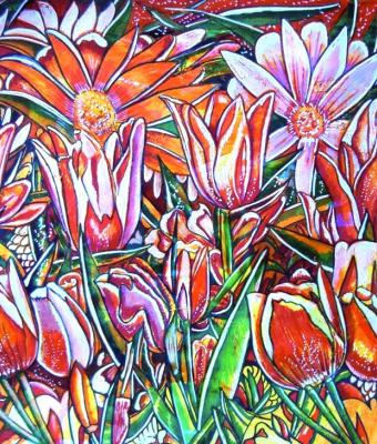 tulipani