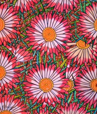 fiori-rosa