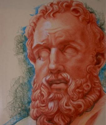 studio-testa-d-ercole