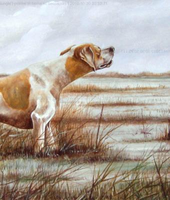 pointer-in-ferma-su-beccaccini